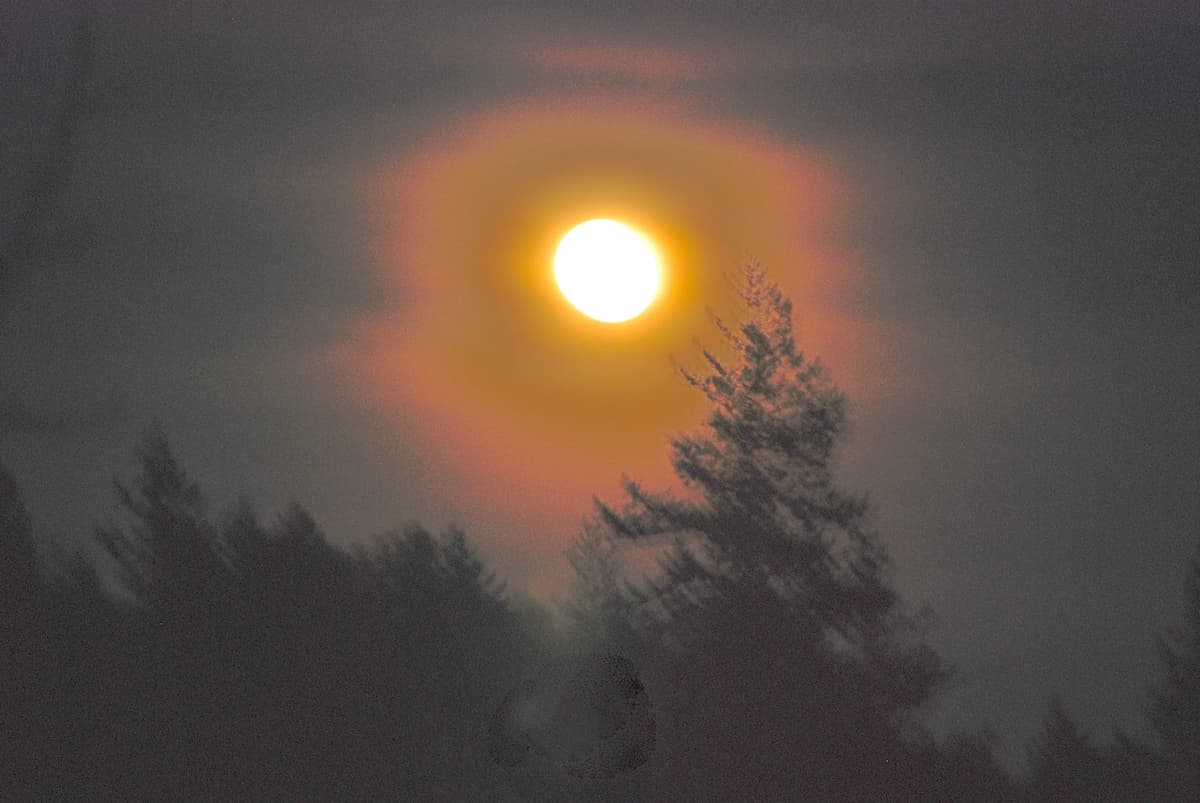A Beacon of Light in a Very Dark Landscape?